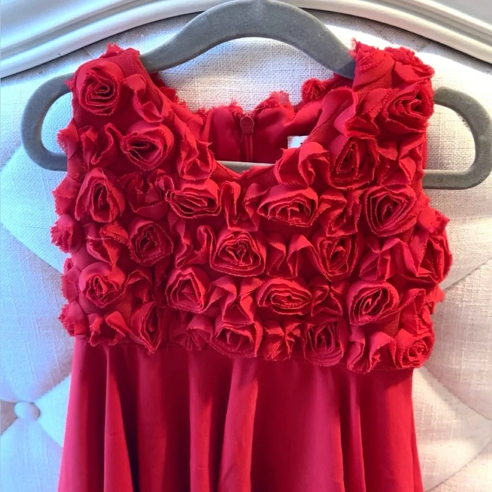 Helena Girls 3D Red Rosettes A-Line Dress